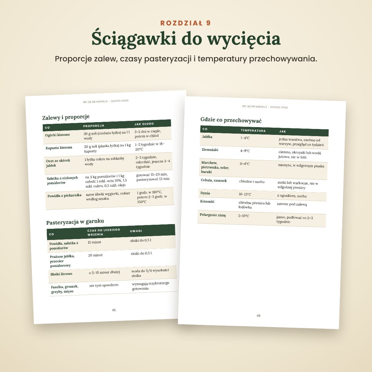 Nic się nie marnuje – książka Dziadka Zenka (wersja drukowana)