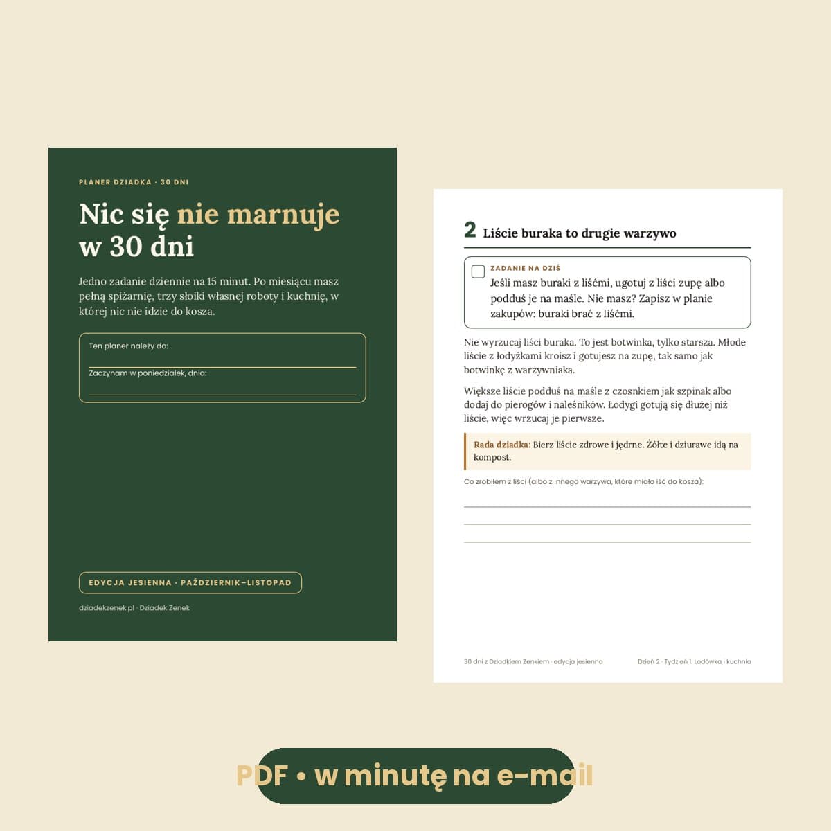 Nic się nie marnuje w 30 dni – program jesienny, wersja cyfrowa (planer PDF na e-mail w minutę)
